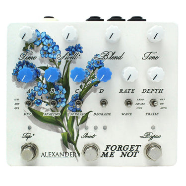 Alexander Forget-Me-Not